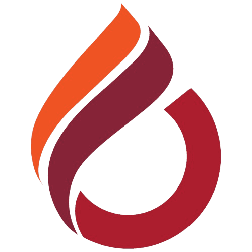 دانشگاه بین‌المللی قبرس logo