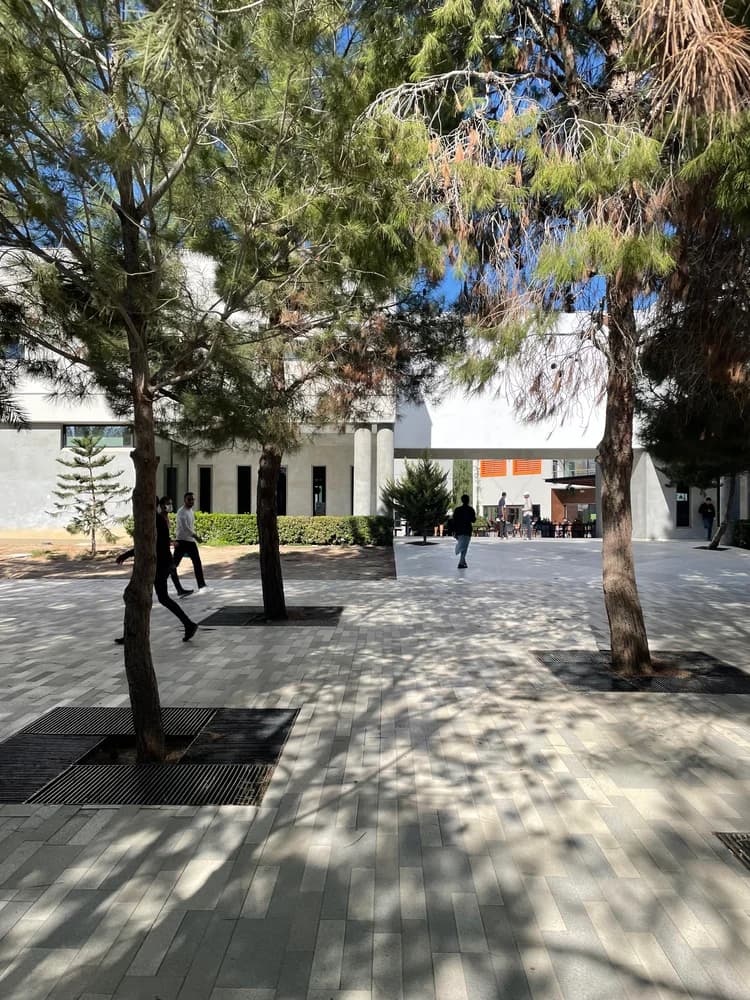 Cyprus International University