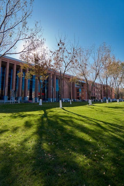 Study MBBS: Is MBBS in China Right for You? A North Cyprus Alternative