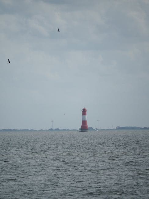 Why You Should Study Pilotage: Discover the Best Places to Study Near Me