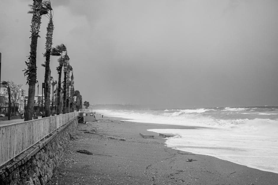 Storm Edugo学生海外教育顾问：您的北塞浦路斯留学指南