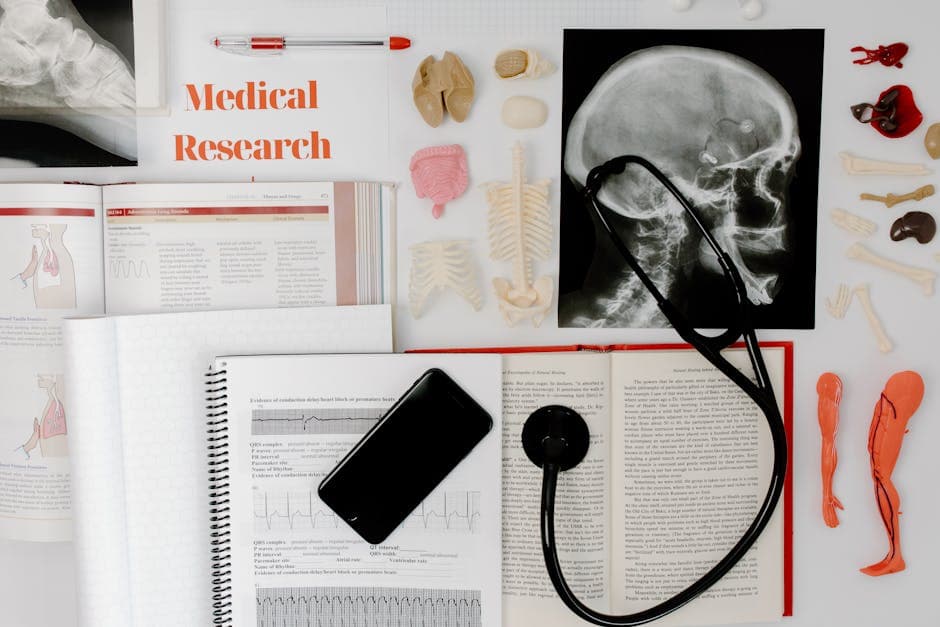 O Que Estudar para Vestibular de Medicina: Guia Completo para Brasileiros em Chipre do Norte