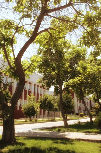Should You Study MBBS Abroad? Comparing Study in UK and North Cyprus