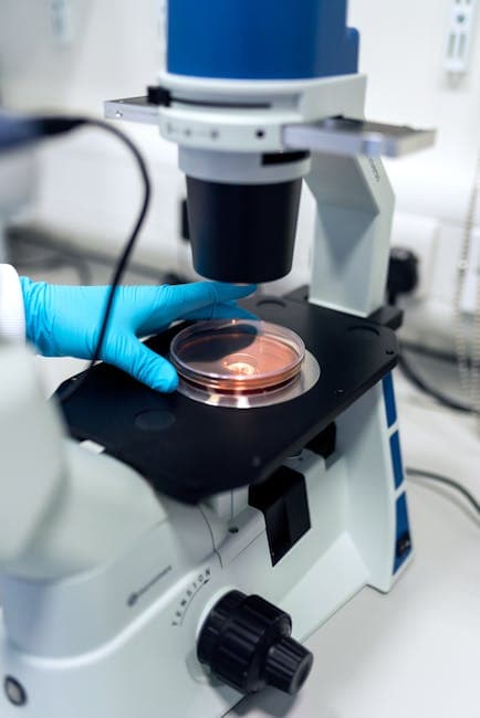 Studying Biomedical Engineering in North Cyprus: Your Complete Guide to Programs and Careers
