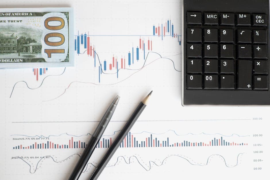 Exonomics Study Abroad: Your Guide to an Economics Degree in North Cyprus