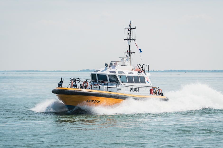 Study Pilotage: Which University Can I Study Pilot in South Africa? Exploring Global Pathways