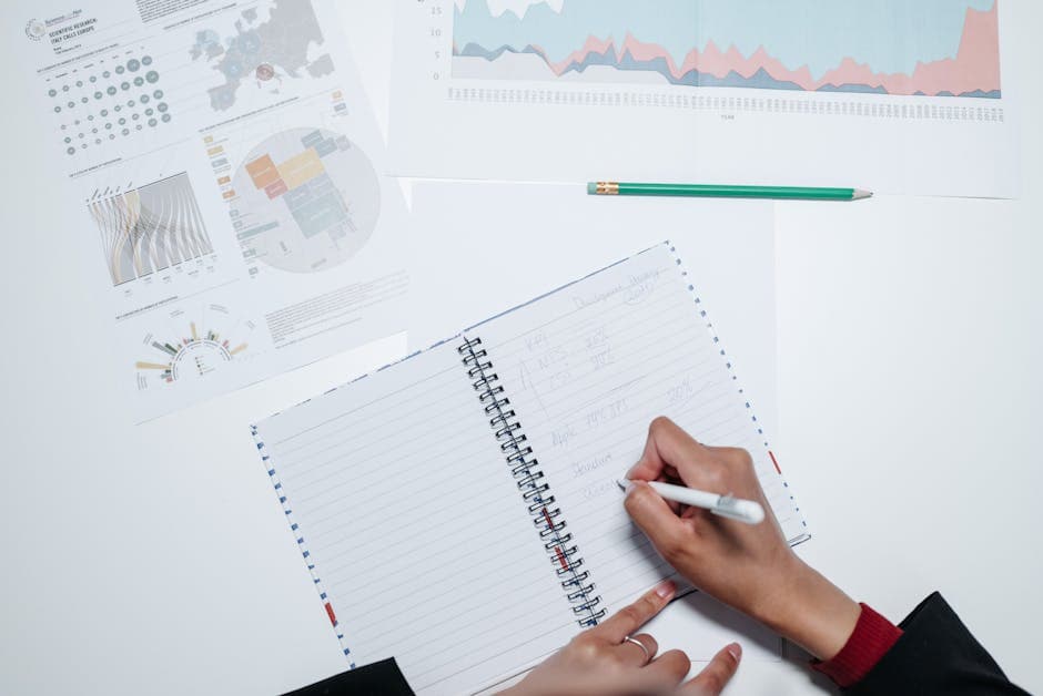 Studying Business Management in North Cyprus: Your Complete Guide to Programs and Careers