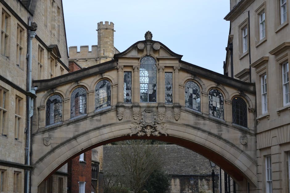 Study Abroad KCL: A UK Student's Guide to North Cyprus