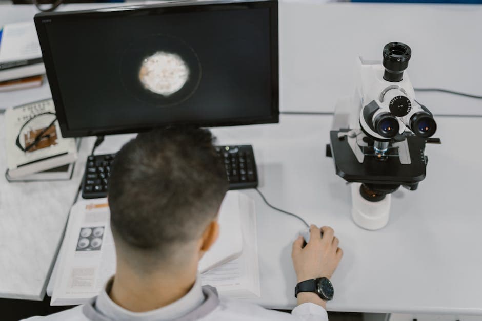 Why Study Computer Science? Top Reasons and Career Benefits in a Digital World