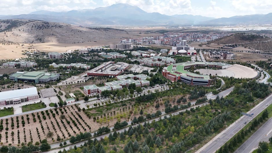 Study MBBS After NEET: Why North Cyprus Is a Smart Choice for Aspiring Doctors