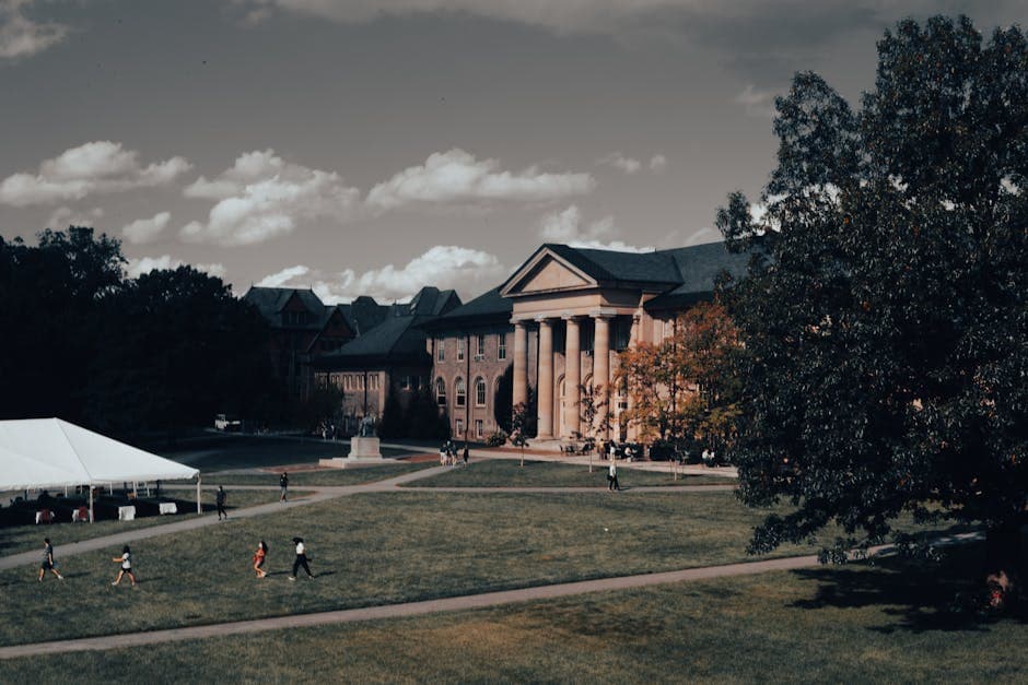 Study Medicine Abroad in English: Everything You Need to Know