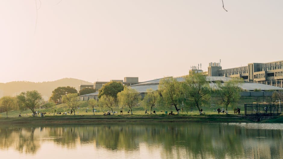 What Is Family Medicine and Why Study Medicine 2026 in North Cyprus?