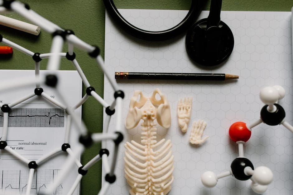 How to Excel in Nursing School: Strategies for International Students in North Cyprus