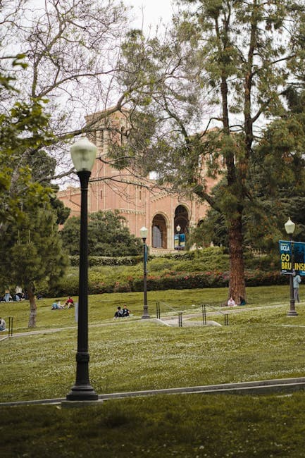 ¿Para Estudiar Dermatología Hay que Estudiar Medicina? Tu Ruta en Chipre del Norte