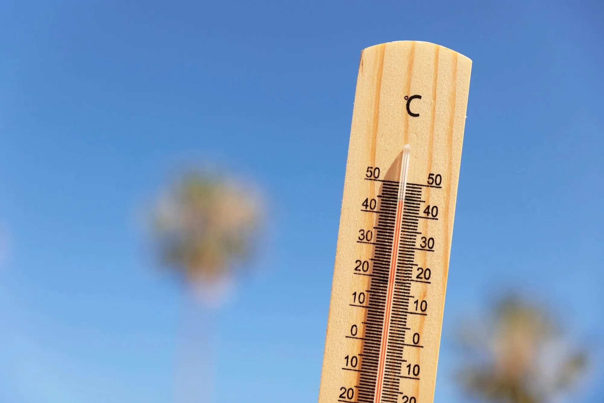 Climate & Weather in North Cyprus: A Student's Guide to the Mediterranean Lifestyle
