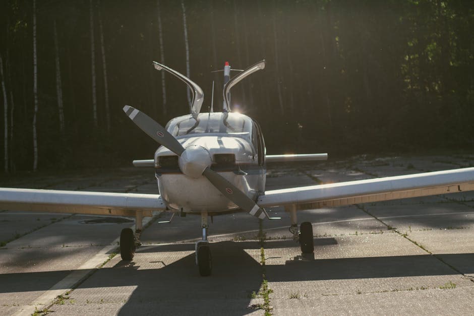 A private airplane parked on a tarmac surrounded by trees, captured at sunset.