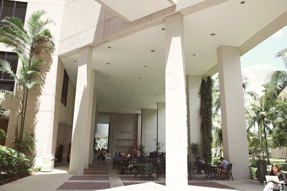 University of Abuja Kayıt Portalının Ötesinde: Bir Lisans Öğrencisinin Kuzey Kıbrıs Rehberi